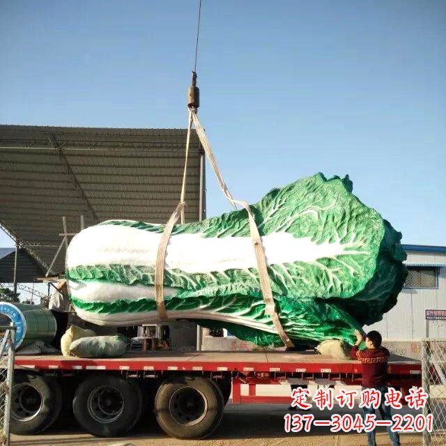 益阳白菜之美——给你一份独特的食材