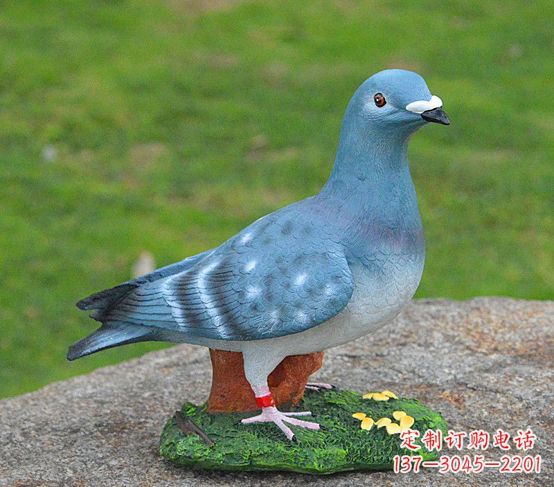 益阳和平鸽传承着永恒的爱