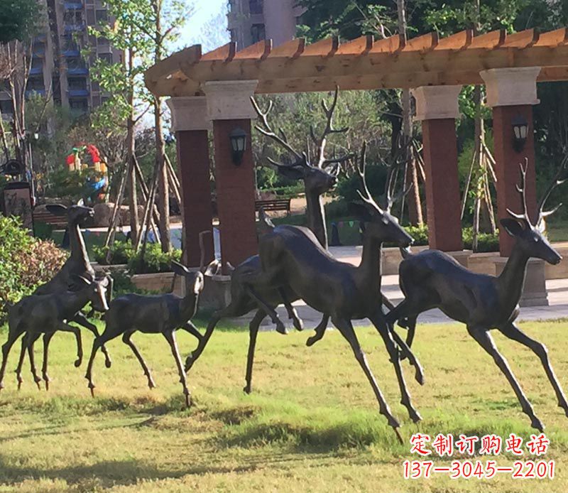 益阳“梅花鹿传递自由与美好”