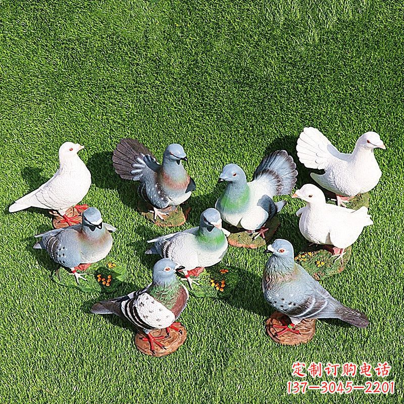 益阳和平鸽毕加索激发的美好灵感