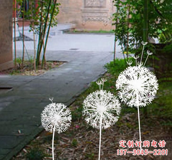 益阳不锈钢蒲公英点亮城市之美