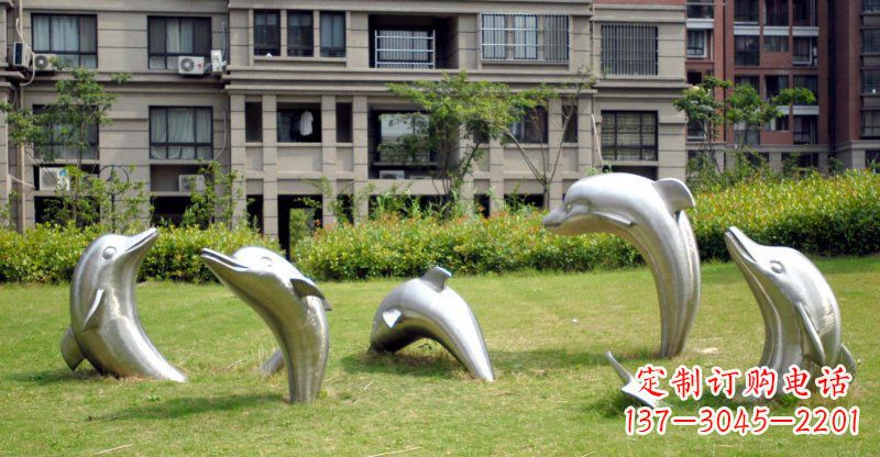 益阳海豚的浪漫