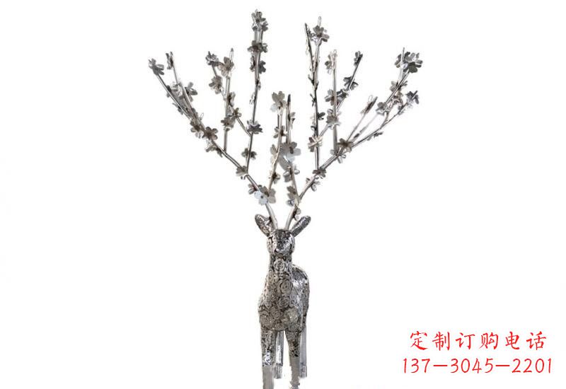 益阳梅花鹿的优雅身姿