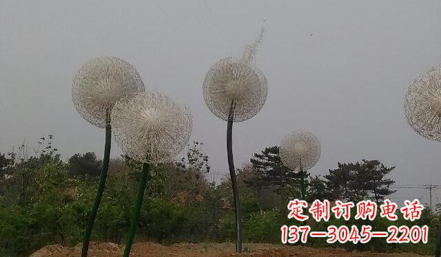 益阳蒲公英的绚丽多彩