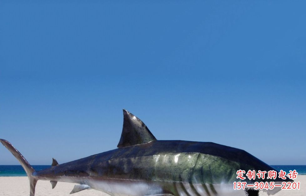益阳海洋生物之美——不锈钢鲨鱼雕塑
