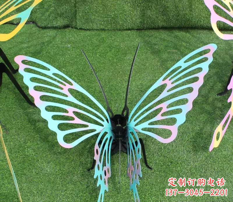 益阳彩色不锈钢镂空蝴蝶雕塑精美又充满生机