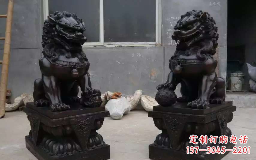 益阳踩球镇的狮子之家