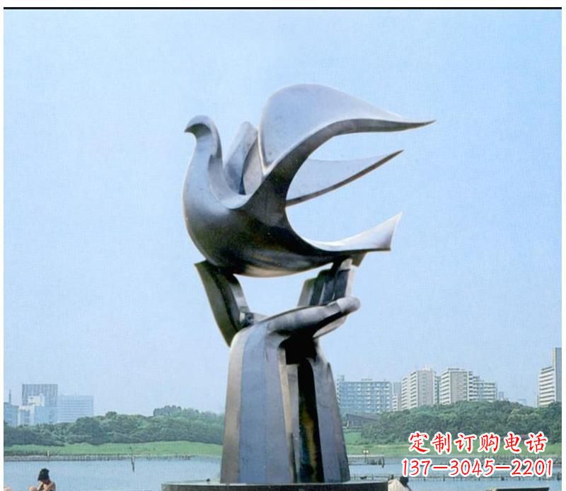 益阳静谧之鸽,传递和平象征~