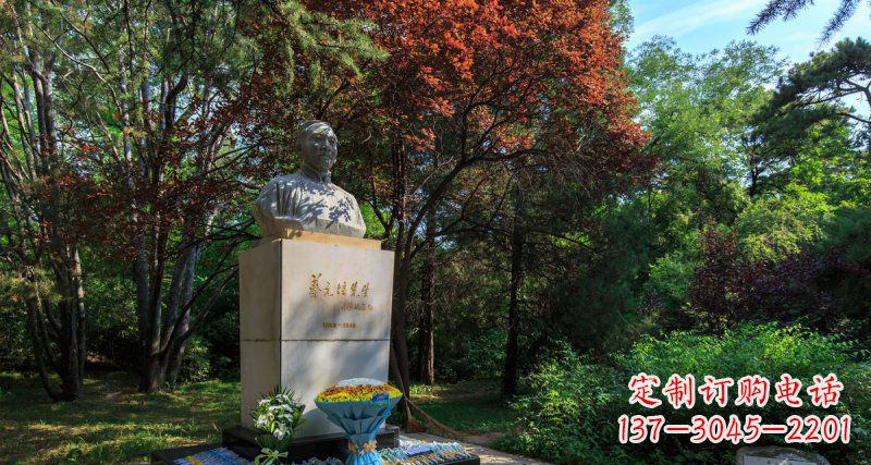 益阳精致无缝蔡元培胸像石雕