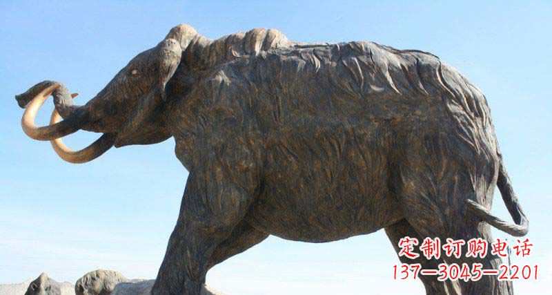 益阳雕刻精美的大象铜雕
