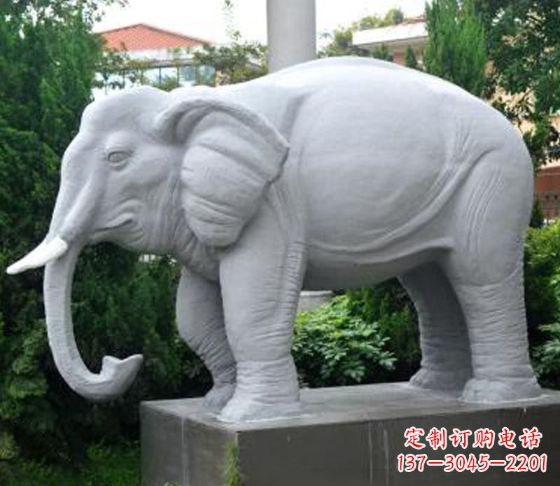 益阳公园动物大理石大象石雕 (5)
