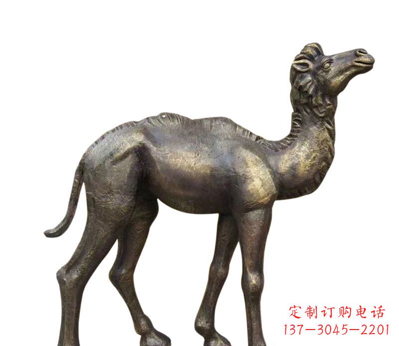 益阳奇美洁净的骆驼铜雕