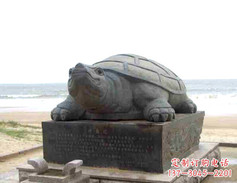 益阳时尚精致的乌龟铜雕