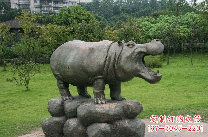 益阳让生活更加精彩,靓丽而优雅的河马铜雕塑