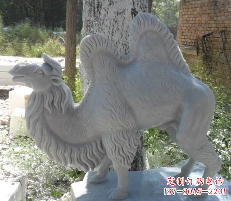益阳汉白玉骆驼雕,融入古朴奢华