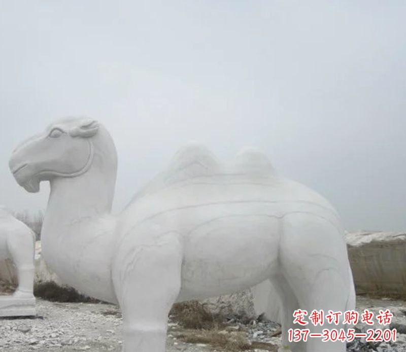 益阳汉白玉骆驼石雕塑,装点家居空间