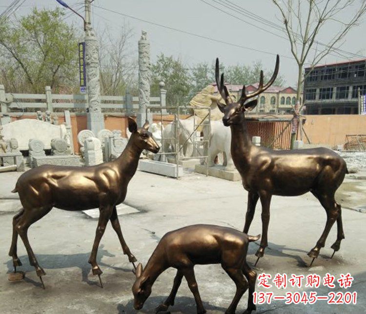 益阳感受自然魅力的动物铜雕