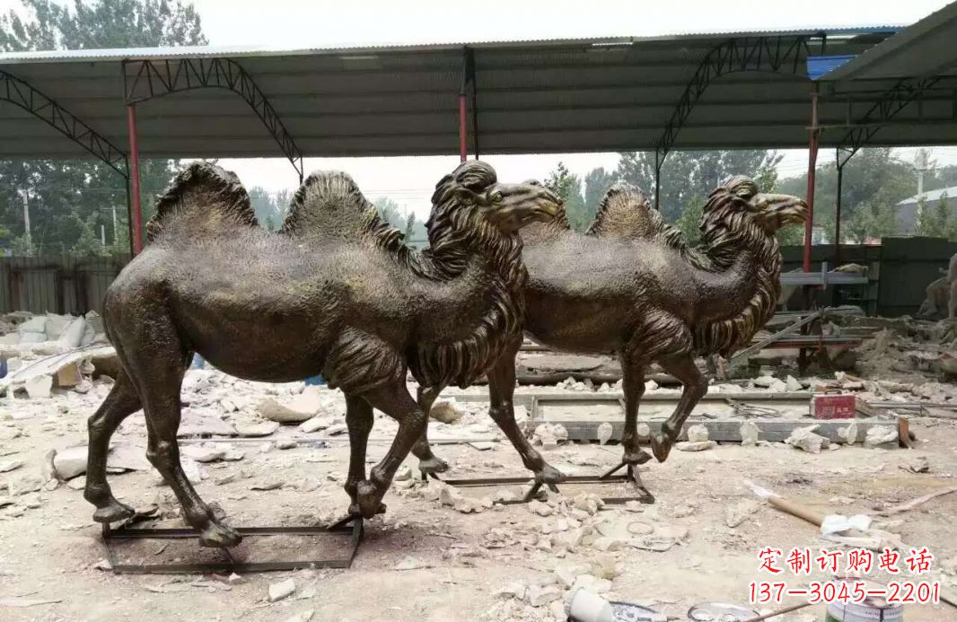 益阳欣赏大自然的艺术之作——骆驼铜雕