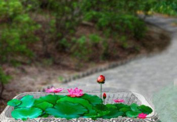益阳独特的福字雕塑，为家庭增添乐趣