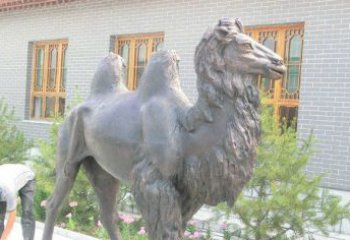 益阳精美的骆驼铜雕，提升您的公园气质