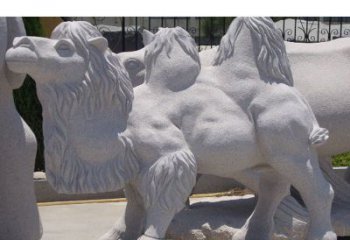 益阳艺术珍品—骆驼石雕