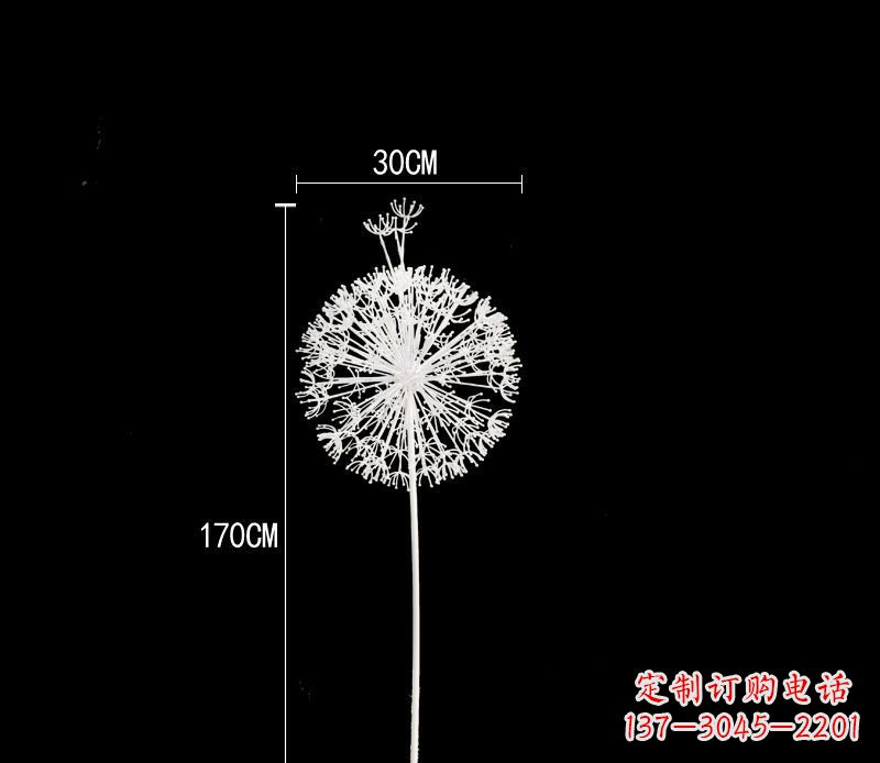 益阳美观耐用的不锈钢蒲公英雕塑