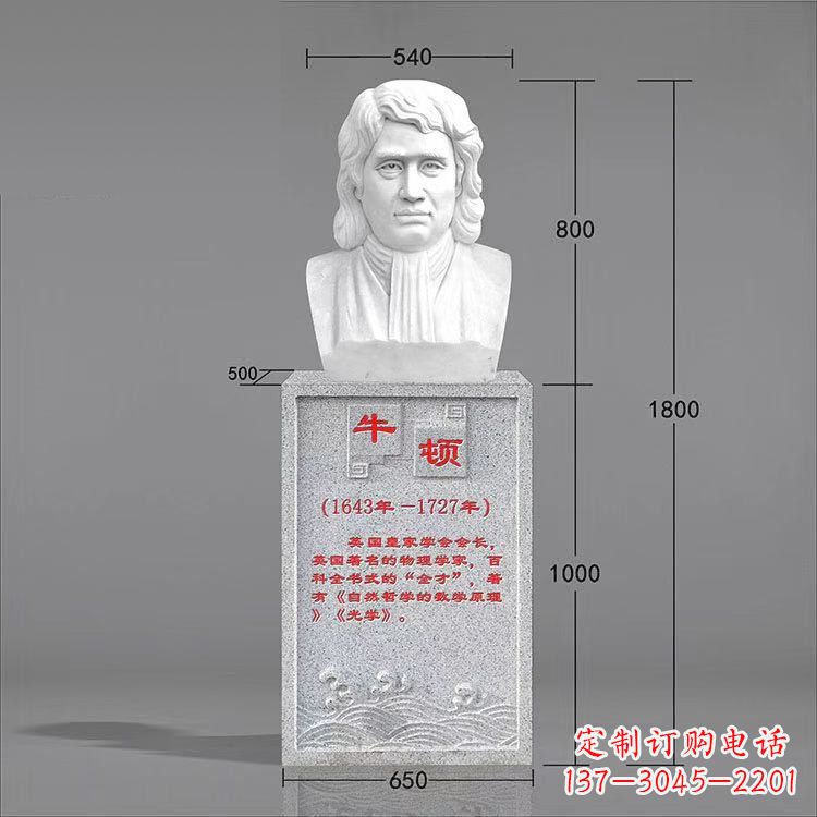 益阳艺术精灵:牛顿汉白玉石头像雕塑