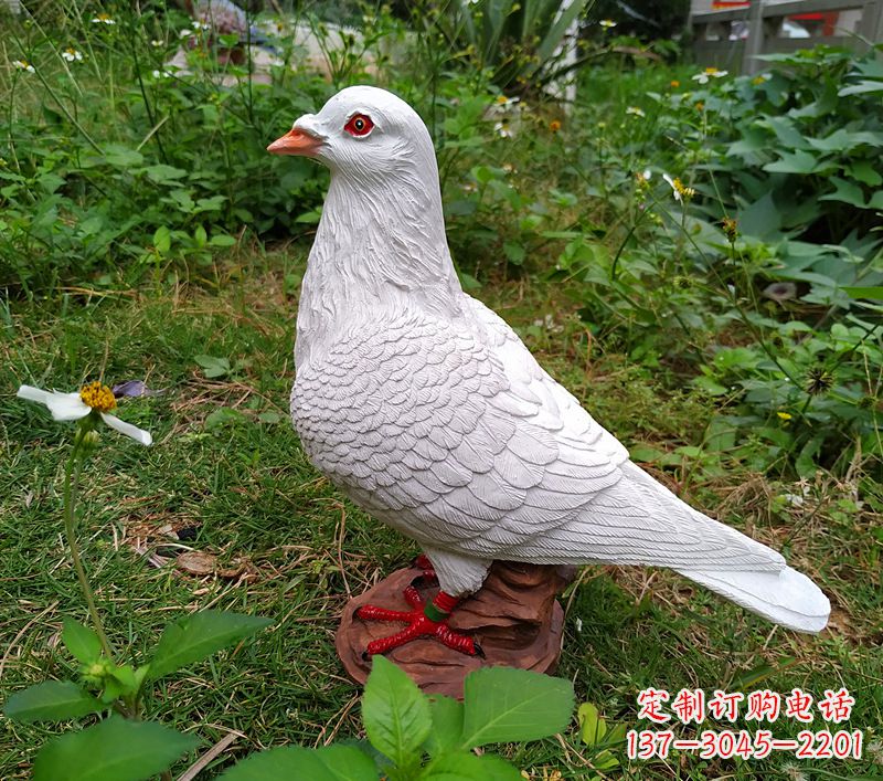 益阳为和平献芳礼:精美少女与和平鸽雕塑