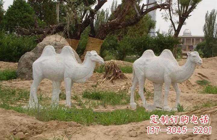 益阳石雕骆驼公园动物雕塑