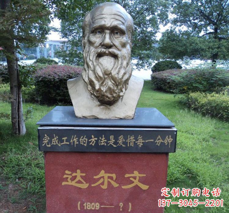 益阳铜雕达尔文头像雕塑