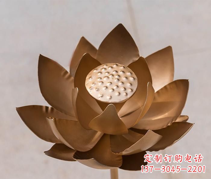 益阳铜雕景观荷花