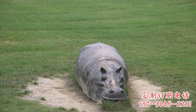 益阳铜雕趴着的河马