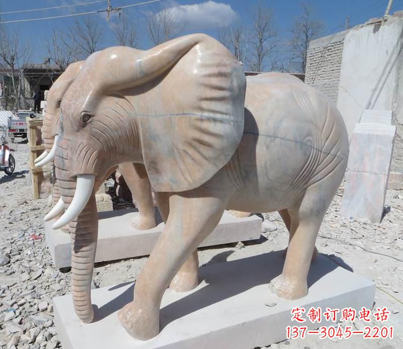 益阳晚霞红卷鼻大象