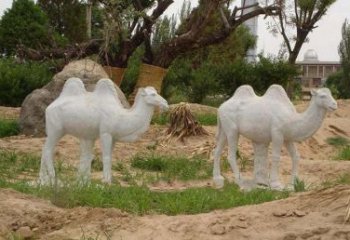 益阳欣赏大自然，石雕骆驼公园动物雕塑邀请您