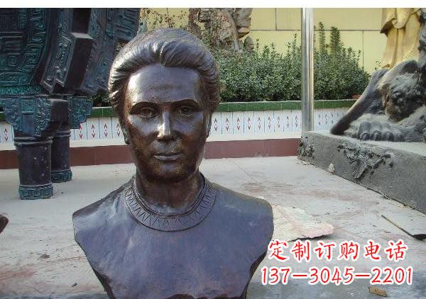 益阳校园居里夫头像铜雕